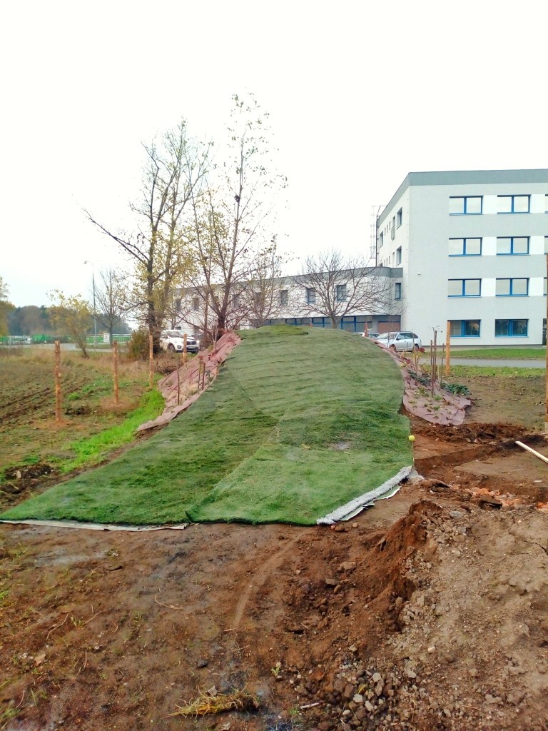 Waynes field listopad 2020 | Pod sjezdovkou