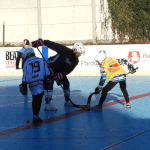 Hokejbal